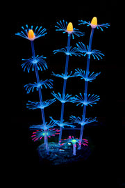 Artificial Aquarium Sea Plants Ornament 10 Pcs Glow Green Plastic Fish Tank Decor