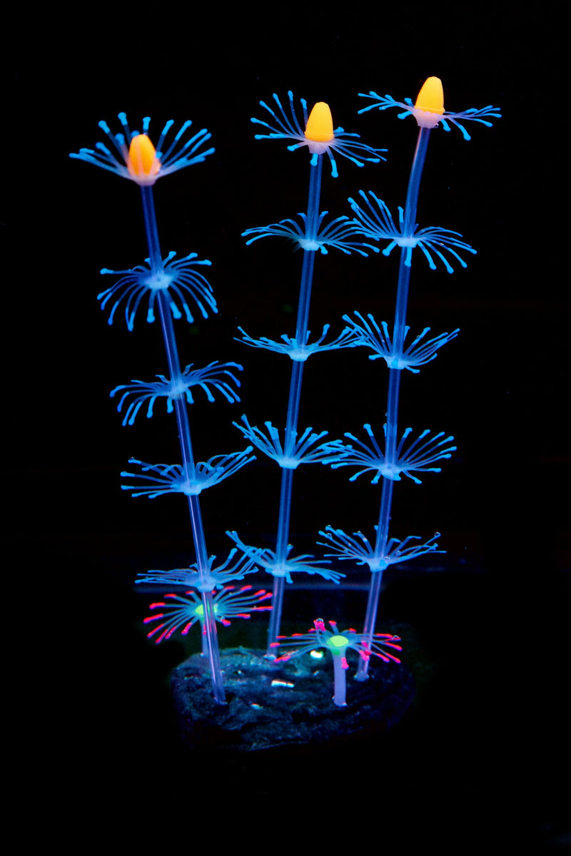 Artificial Aquarium Sea Plants Ornament 10 Pcs Glow Green Plastic Fish Tank Decor
