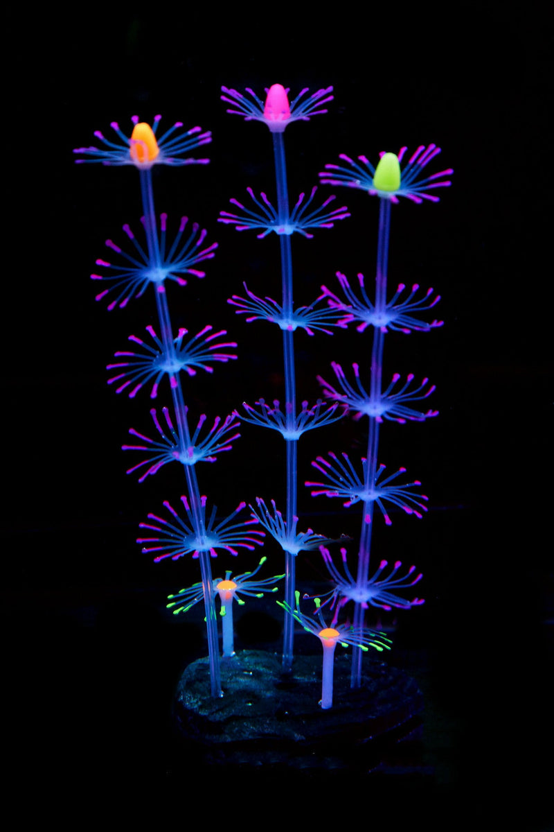 Artificial Aquarium Sea Plants Ornament 10 Pcs Glow Green Plastic Fish Tank Decor
