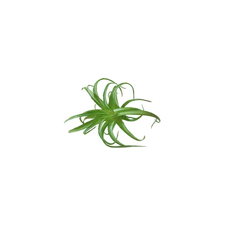 10 Pcs Artificial Succulent Plants Bulk Pick Variety Mix for Home Decor