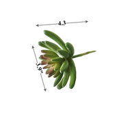 10 Pcs Artificial Succulent Plants Bulk Pick Variety Mix for Home Decor