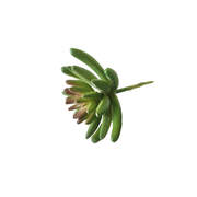 10 Pcs Artificial Succulent Plants Bulk Pick Variety Mix for Home Decor