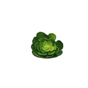 10 Pcs Artificial Succulent Plants Bulk Pick Variety Mix for Home Decor