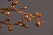 43 Inch Artificial Brown Tree Branches with Fruits Bulk Wholesale 10 Pcs