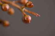 43 Inch Artificial Brown Tree Branches with Fruits Bulk Wholesale 10 Pcs