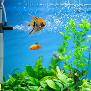 Artificial Aquarium Plants 10 Pcs Green Underwater Fish Tank Decorations Silk Water Grass