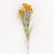31 Inch Artificial Wax Flower Stems Chamelaucium Uncinatum Bulk Quantity