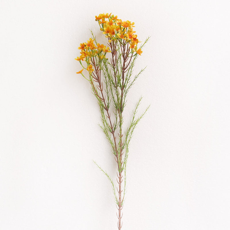 31 Inch Artificial Wax Flower Stems Chamelaucium Uncinatum Bulk Quantity