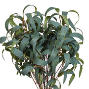 Artificial Eucalyptus Leaf Spray 12 Inch Real Touch Bulk 10 Pcs Silk Salix Plants