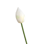 Lotus Lily Artificial Flower Stems with Leaf and Seedpod, Real Touch, Bulk Wholesale Quantity