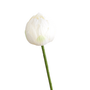 Lotus Lily Artificial Flower Stems with Leaf and Seedpod, Real Touch, Bulk Wholesale Quantity