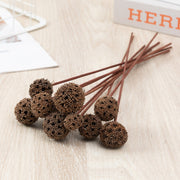 Preserved Pristimera Flower Balls with Scabiosa Pods and Windmill Fruit Pods, Bulk Artificial Floral Decor