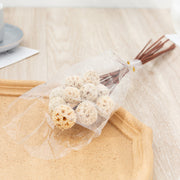 Preserved Pristimera Flower Balls with Scabiosa Pods and Windmill Fruit Pods, Bulk Artificial Floral Decor