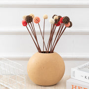 Preserved Pristimera Flower Balls with Scabiosa Pods and Windmill Fruit Pods, Bulk Artificial Floral Decor