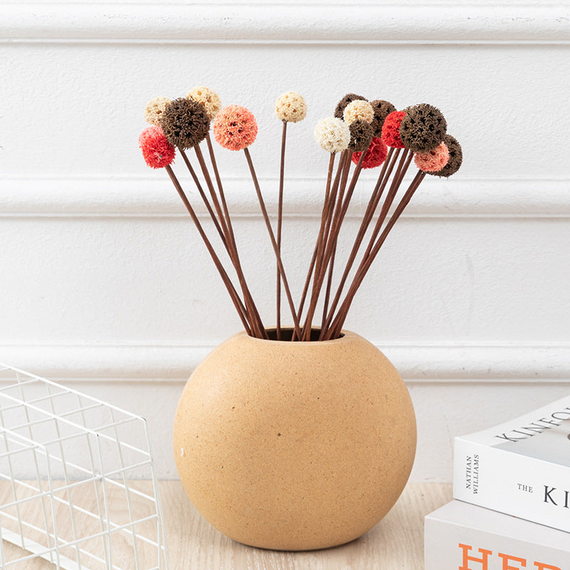 Preserved Pristimera Flower Balls with Scabiosa Pods and Windmill Fruit Pods, Bulk Artificial Floral Decor
