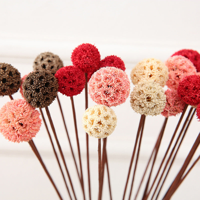 Preserved Pristimera Flower Balls with Scabiosa Pods and Windmill Fruit Pods, Bulk Artificial Floral Decor