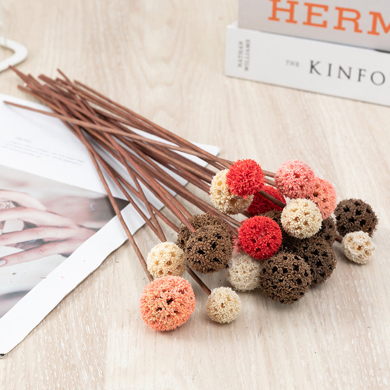 Preserved Pristimera Flower Balls with Scabiosa Pods and Windmill Fruit Pods, Bulk Artificial Floral Decor