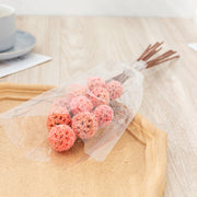 Preserved Pristimera Flower Balls with Scabiosa Pods and Windmill Fruit Pods, Bulk Artificial Floral Decor