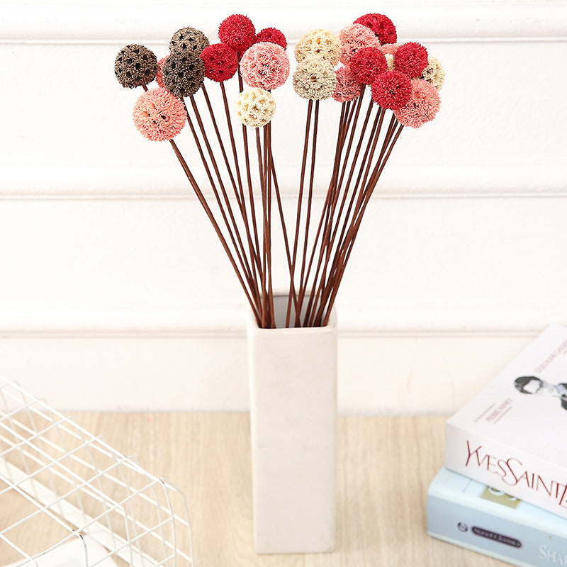 Preserved Pristimera Flower Balls with Scabiosa Pods and Windmill Fruit Pods, Bulk Artificial Floral Decor