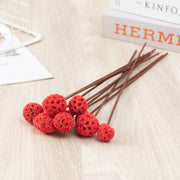 Preserved Pristimera Flower Balls with Scabiosa Pods and Windmill Fruit Pods, Bulk Artificial Floral Decor