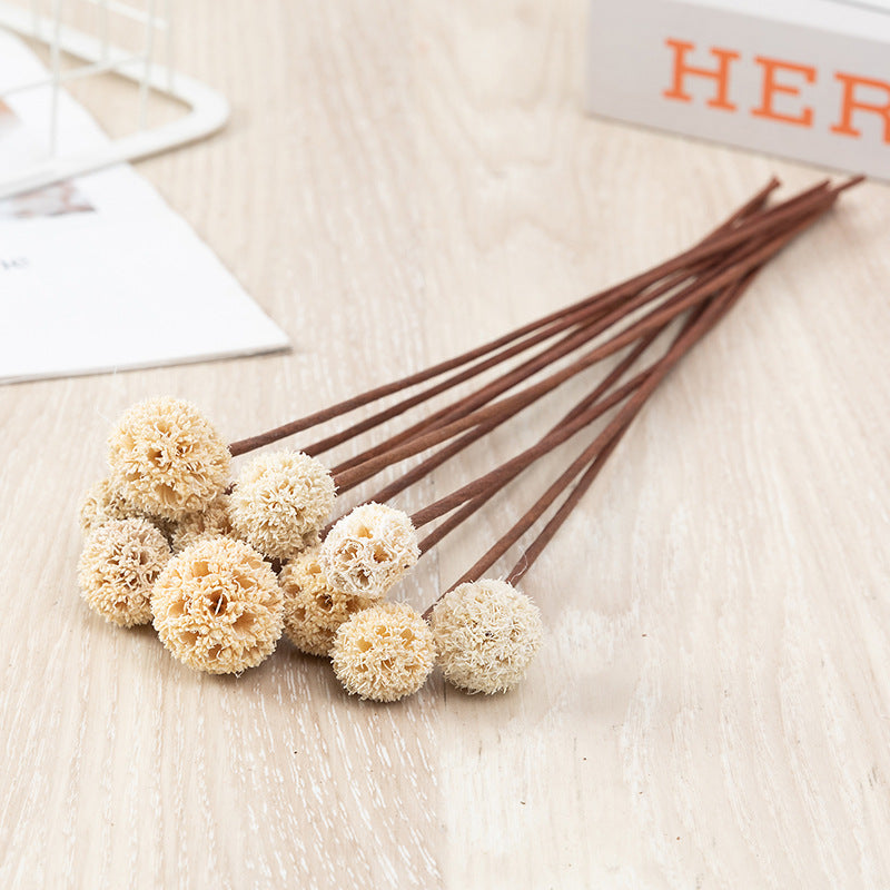 Preserved Pristimera Flower Balls with Scabiosa Pods and Windmill Fruit Pods, Bulk Artificial Floral Decor