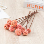 Preserved Pristimera Flower Balls with Scabiosa Pods and Windmill Fruit Pods, Bulk Artificial Floral Decor