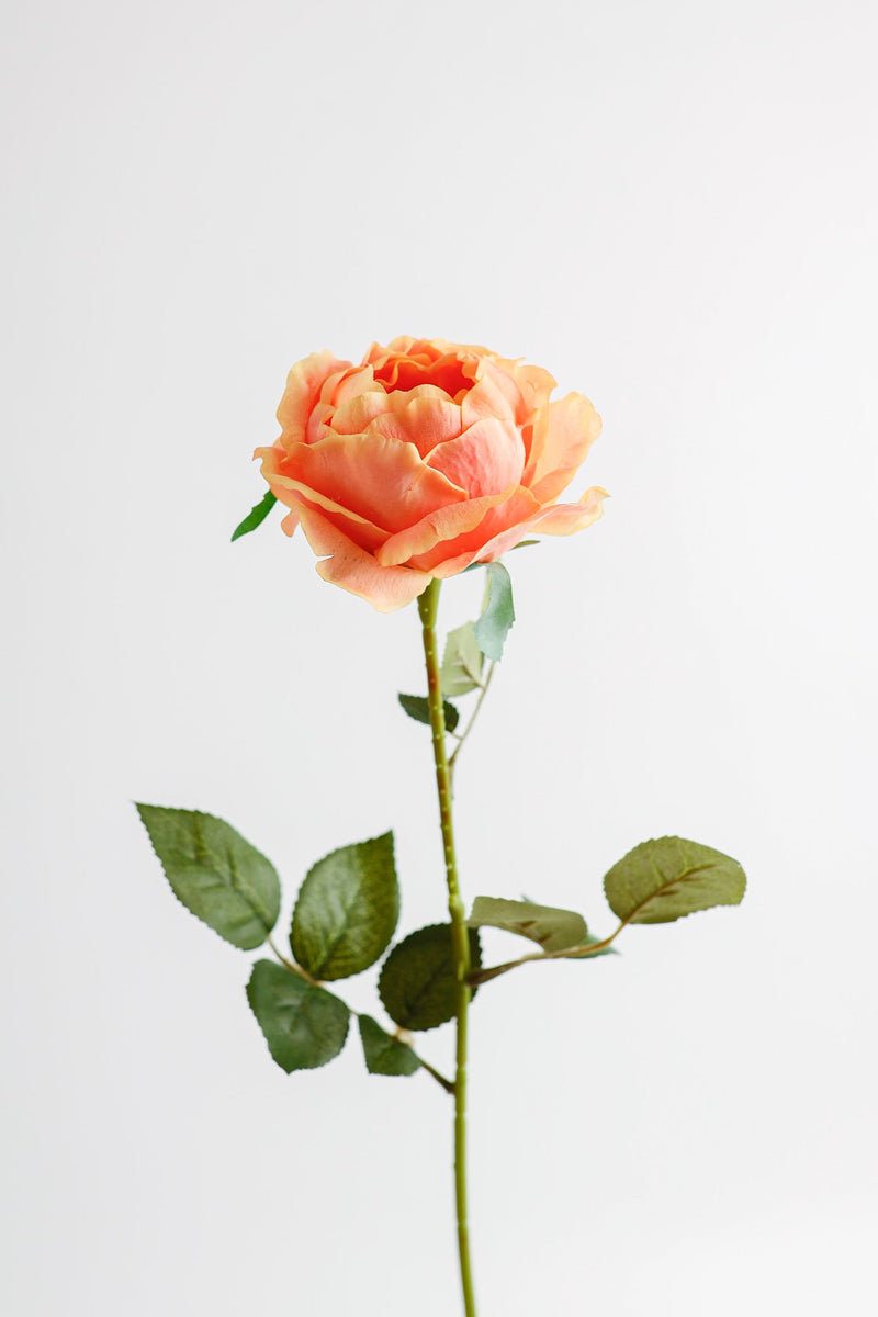 26 Inch Artificial Austin Rose Stems – 1 Stem, Silk Flowers
