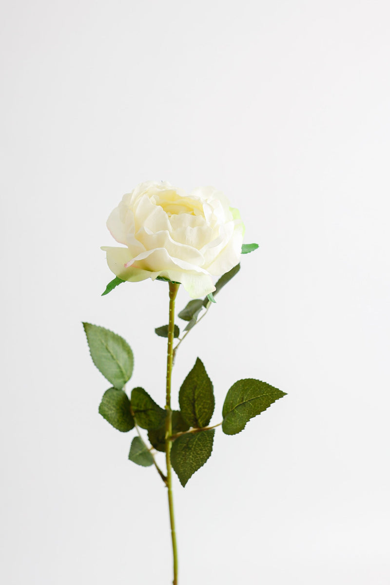 26 Inch Artificial Austin Rose Stems – 1 Stem, Silk Flowers