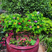 2 Pcs Artificial Boxwood Topiary Balls with Ground Spike, Green Decorative Bushes