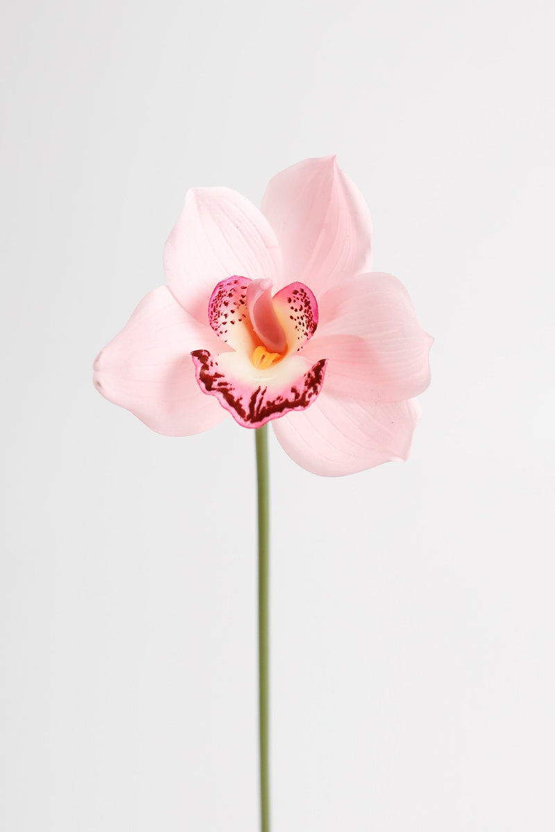 10 Inch Cymbidium Artificial Flowers 10 Pcs Real Touch Stems Bulk Wholesale