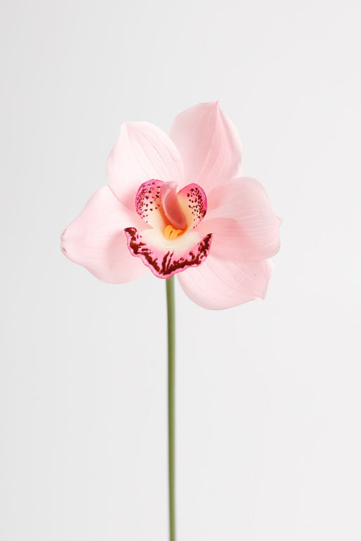 10 Inch Cymbidium Artificial Flowers 10 Pcs Real Touch Stems Bulk Wholesale