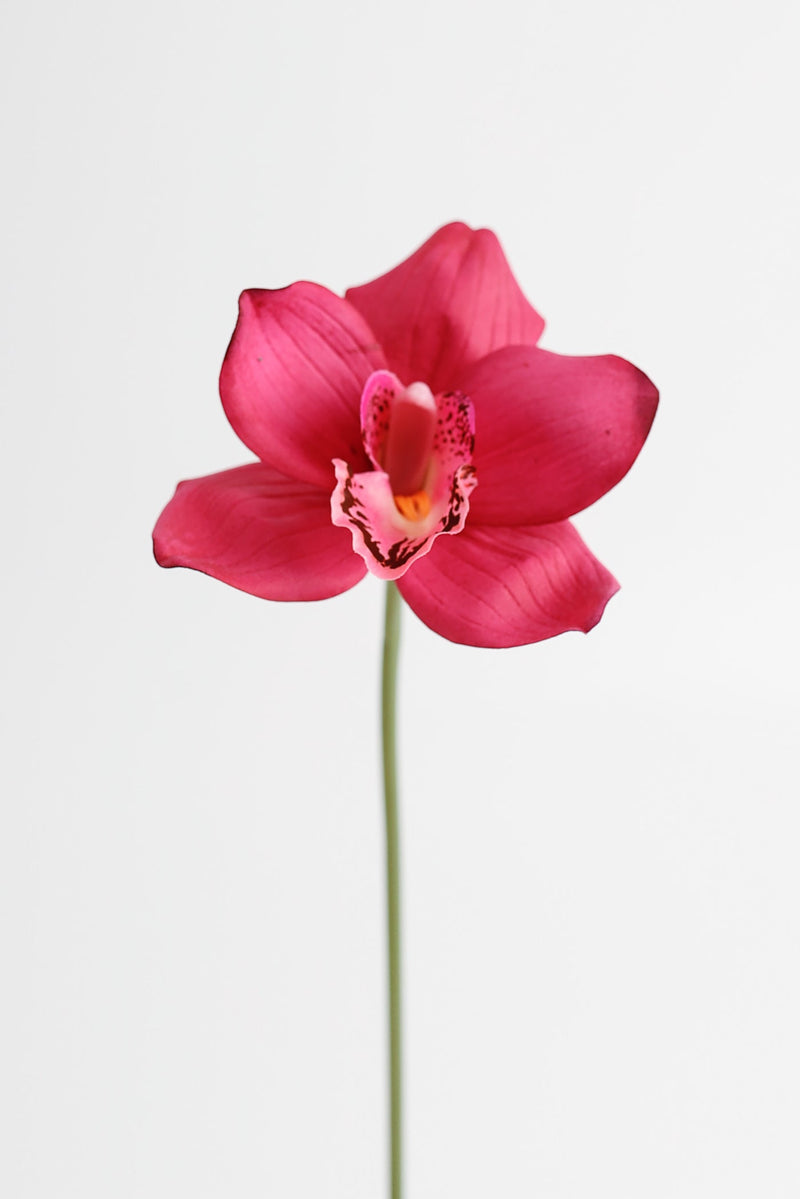 10 Inch Cymbidium Artificial Flowers 10 Pcs Real Touch Stems Bulk Wholesale