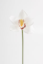 10 Inch Cymbidium Artificial Flowers 10 Pcs Real Touch Stems Bulk Wholesale