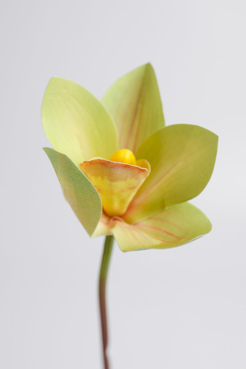 Real Touch Cymbidium Orchid Stem, Artificial Silk Flower, 1 Stem, Green and White, 24 Inch