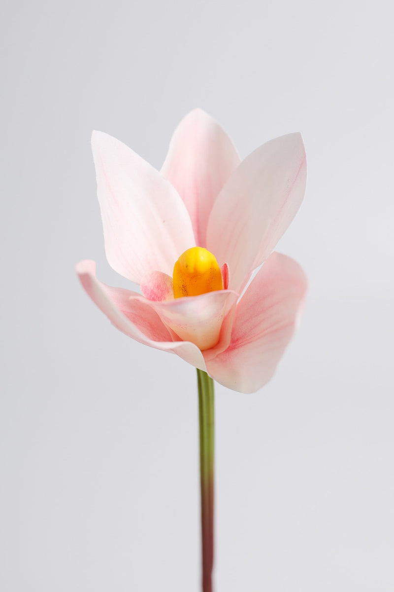 Real Touch Cymbidium Orchid Stem, Artificial Silk Flower, 1 Stem, Green and White, 24 Inch