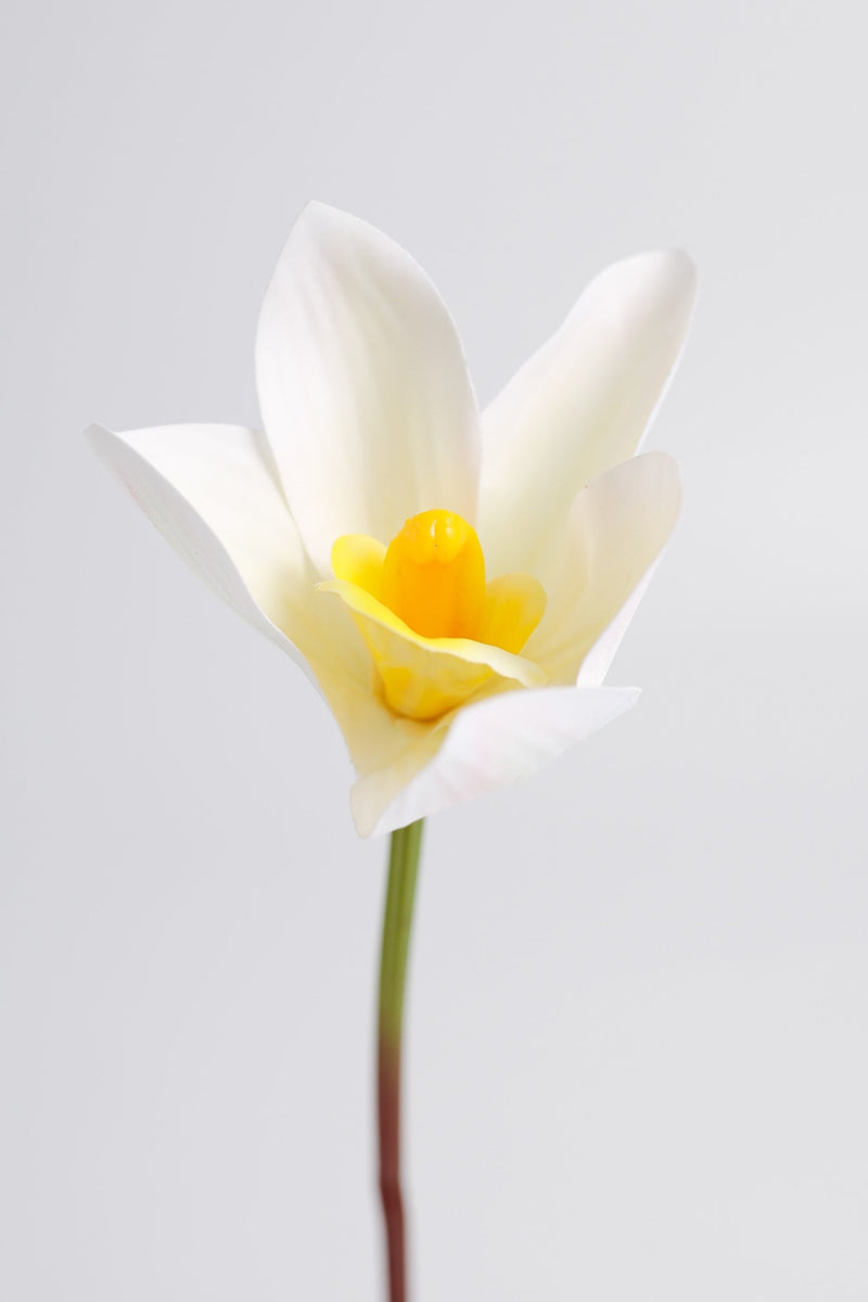 Real Touch Cymbidium Orchid Stem, Artificial Silk Flower, 1 Stem, Green and White, 24 Inch