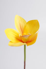 Real Touch Cymbidium Orchid Stem, Artificial Silk Flower, 1 Stem, Green and White, 24 Inch