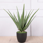4 Pcs Artificial Aloe Vera Plants Green Potted Succulent Decor