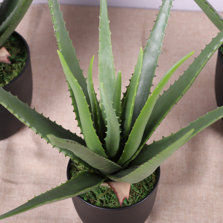 4 Pcs Artificial Aloe Vera Plants Green Potted Succulent Decor