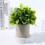 Artificial Mini Potted Plants Set, Faux Greenery with Pots for Living Room, Office & Home Decor, Assorted Fake Plants for Shelf & Tabletop