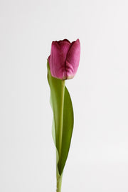 Real Touch Tulips 14 Inch Artificial Silk Flowers 10 Stems Bulk Arrangement