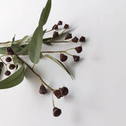 23.6 Inch Artificial Willow Eucalyptus Branches with Fruits, Autumn Colors, Bulk Floral Arrangement Stems