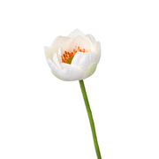 Lotus Lily Artificial Flower Stems with Leaf and Seedpod, Real Touch, Bulk Wholesale Quantity