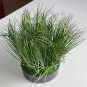 Artificial Onion Grass Bonsai Plant, Real Touch Greenery, Pre-Potted, Green, 10 Inch