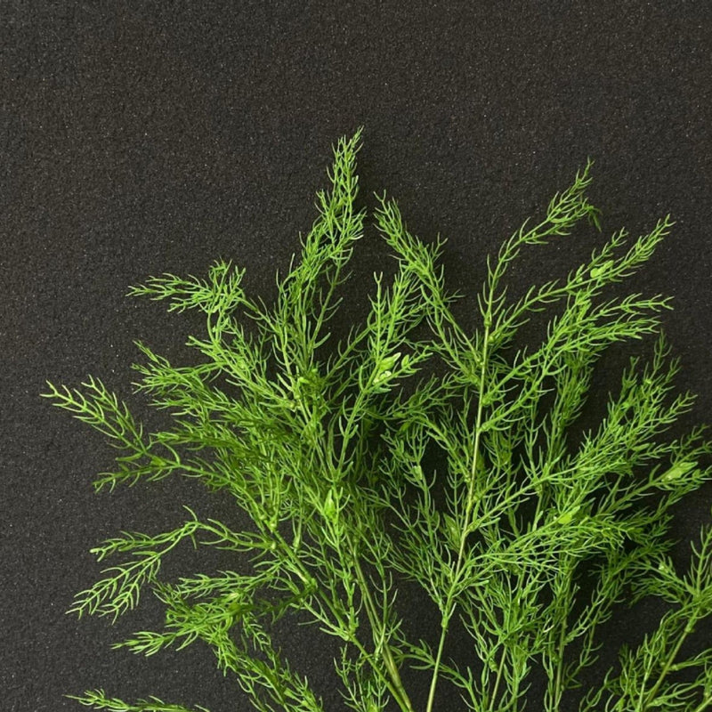 39 Inch Artificial Asparagus Branches Greenery Plants Bulk Quantity