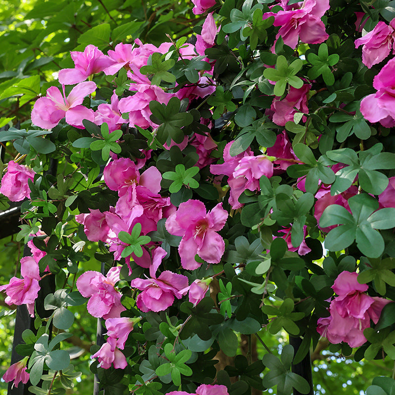 33 Inch Faux Silk Azalea Spills 2-Pack UV Protected Outdoor Artificial Flowers