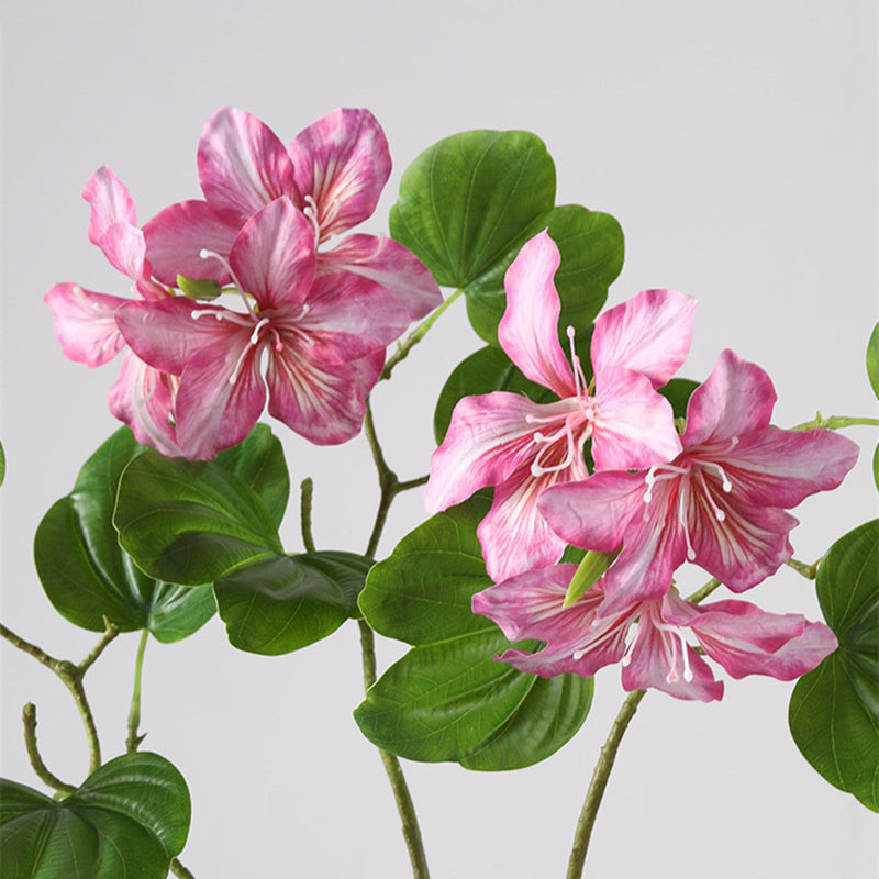 22 Inch Artificial Bauhinia Blakeana Stems, Real Touch Silk Flowers, 10 Pcs Bulk Pack