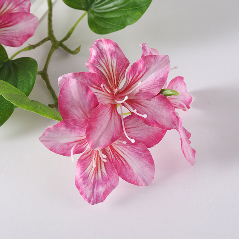 22 Inch Artificial Bauhinia Blakeana Stems, Real Touch Silk Flowers, 10 Pcs Bulk Pack
