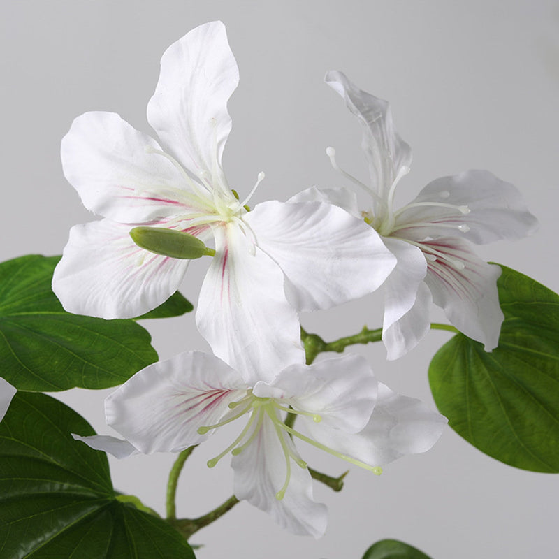 22 Inch Artificial Bauhinia Blakeana Stems, Real Touch Silk Flowers, 10 Pcs Bulk Pack