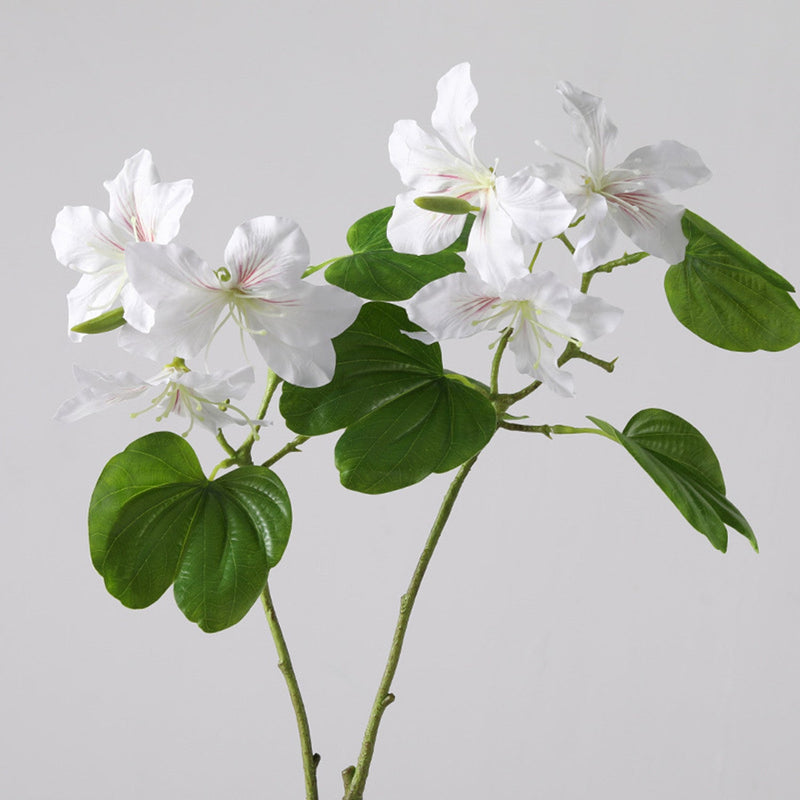 22 Inch Artificial Bauhinia Blakeana Stems, Real Touch Silk Flowers, 10 Pcs Bulk Pack